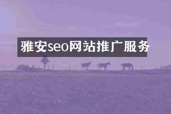 雅安seo网站推广服务