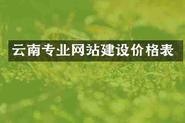 云南专业网站建设价格表