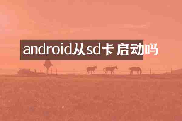 android从sd卡启动吗