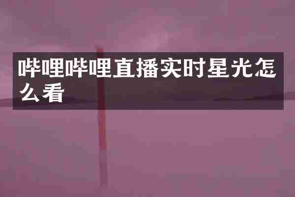 哔哩哔哩直播实时星光怎么看