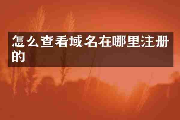 怎么查看域名在哪里注册的