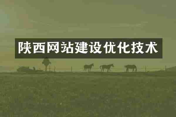陕西网站建设优化技术