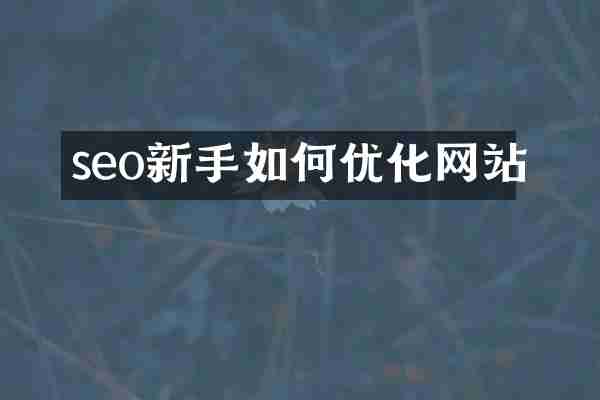 seo新手如何优化网站