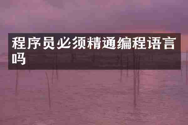 程序员必须精通编程语言吗