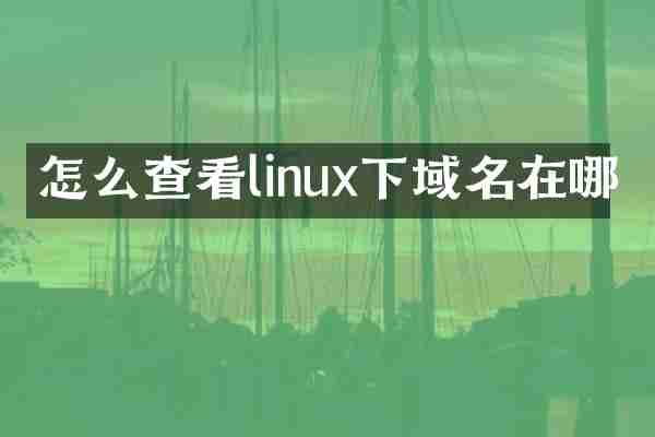 怎么查看linux下域名在哪