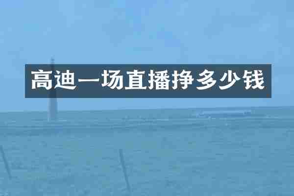 高迪一场直播挣多少钱