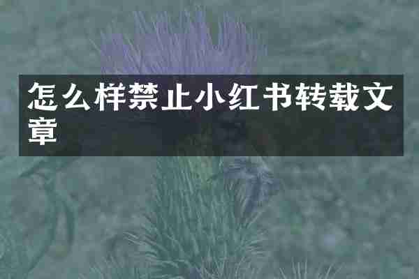 怎么样禁止小红书转载文章