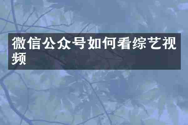微信公众号如何看综艺视频