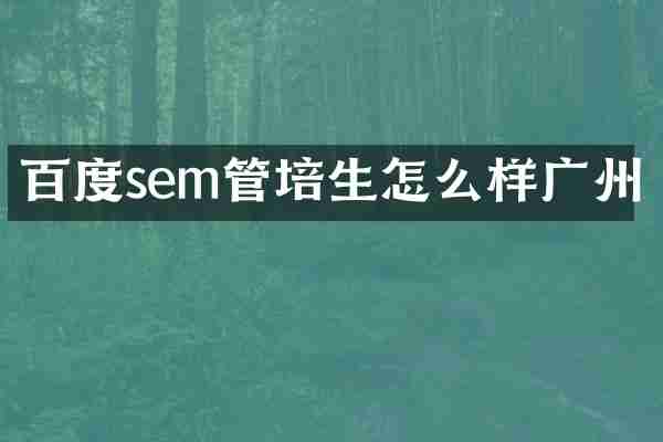 百度sem管培生怎么样广州