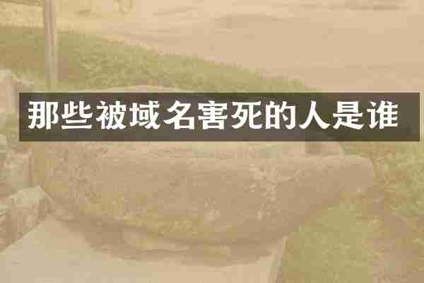 那些被域名害死的人是谁