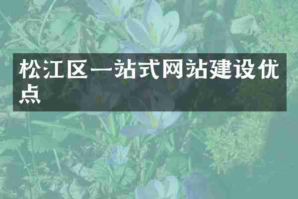 松江区一站式网站建设优点