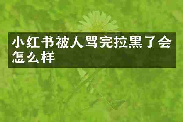 小红书被人骂完拉黑了会怎么样