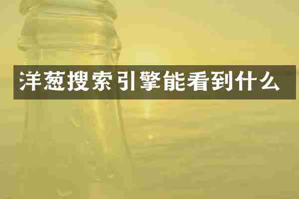 洋葱搜索引擎能看到什么