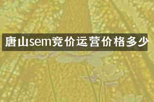 唐山sem竞价运营价格多少