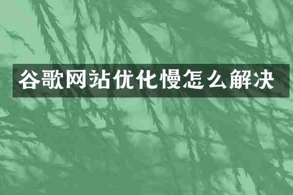 谷歌网站优化慢怎么解决