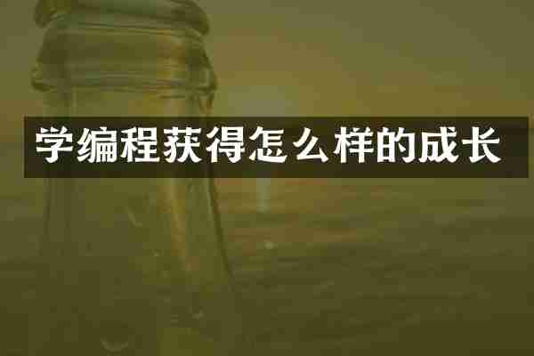 学编程获得怎么样的成长