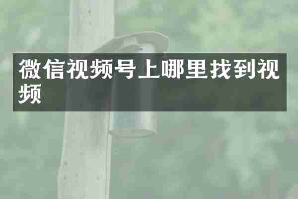 微信视频号上哪里找到视频