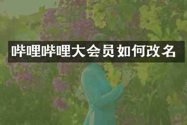 哔哩哔哩大会员如何改名