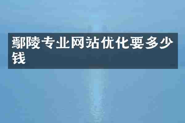 鄢陵专业网站优化要多少钱
