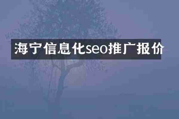 海宁信息化seo推广报价