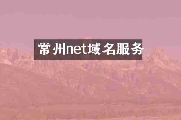 常州net域名服务
