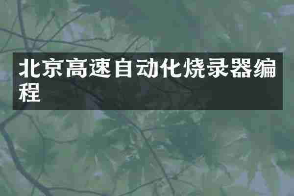 北京高速自动化烧录器编程