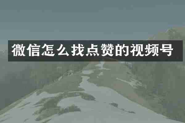 微信怎么找点赞的视频号
