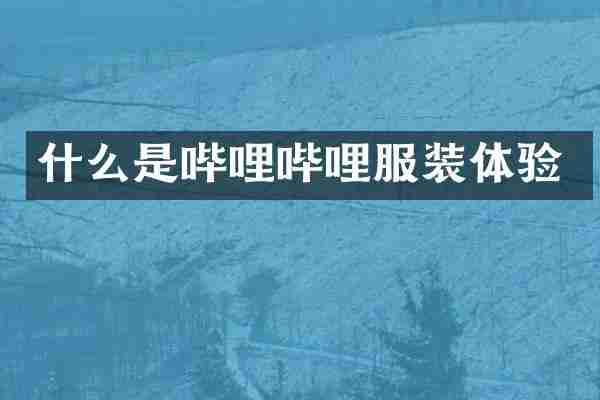 什么是哔哩哔哩服装体验