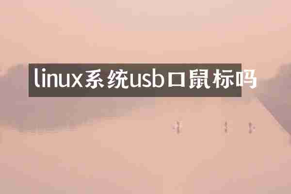 linux系统usb口鼠标吗