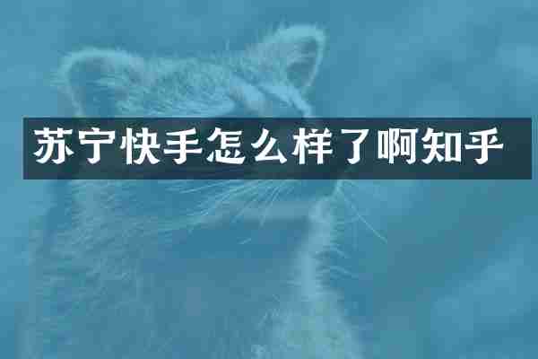 苏宁快手怎么样了啊知乎