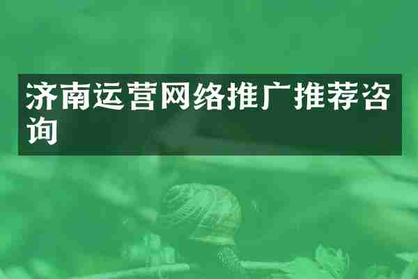 济南运营网络推广推荐咨询