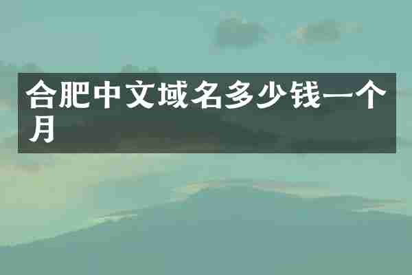 合肥中文域名多少钱一个月