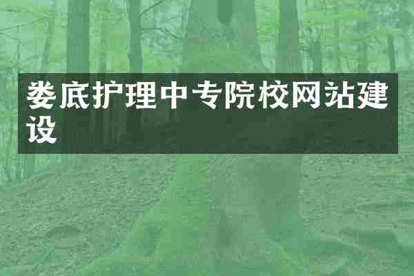 娄底护理中专院校网站建设