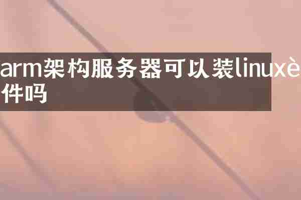 arm架构服务器可以装linux软件吗