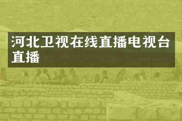 河北卫视在线直播电视台直播