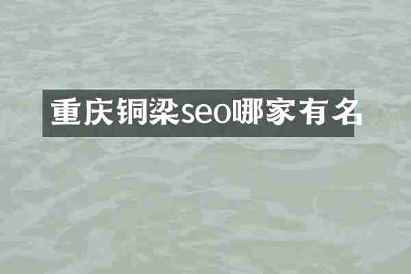 重庆铜梁seo哪家有名