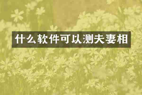 什么软件可以测夫妻相