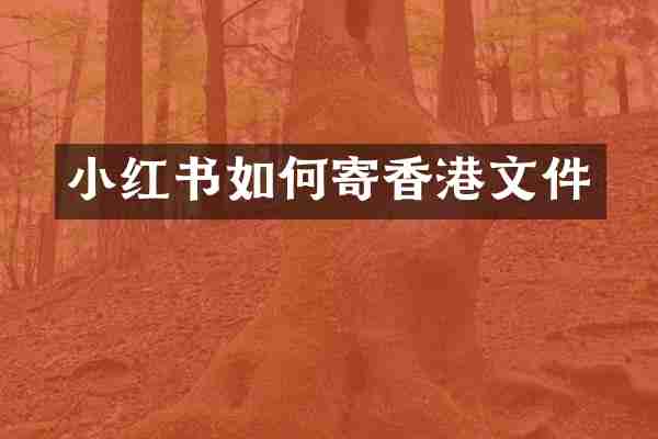 小红书如何寄香港文件