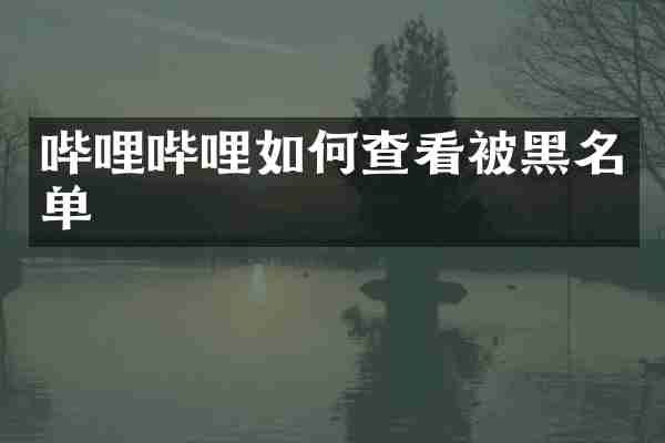 哔哩哔哩如何查看被黑名单