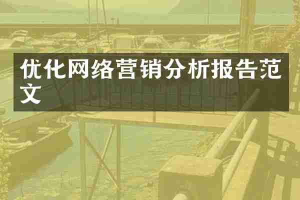 优化网络营销分析报告范文
