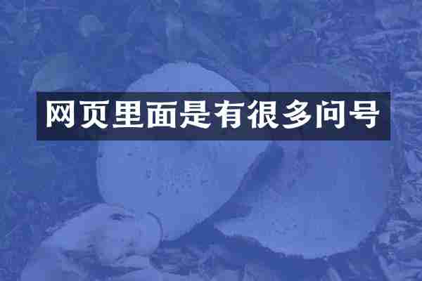 网页里面是有很多问号