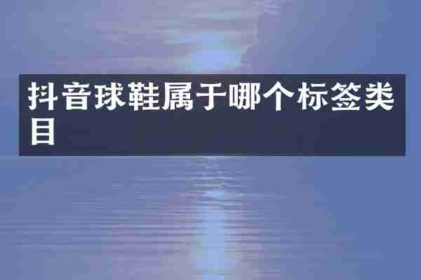 抖音球鞋属于哪个标签类目