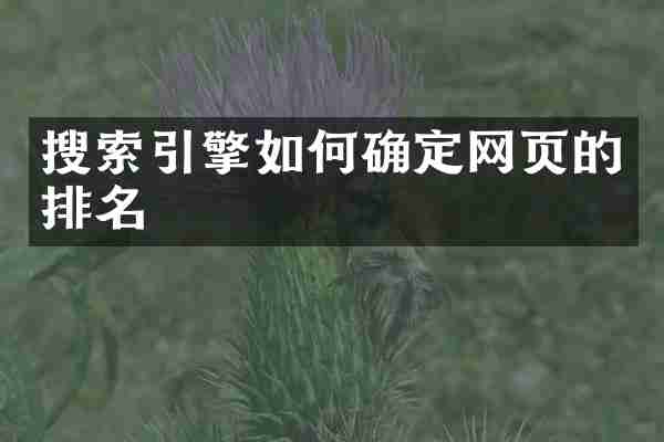 搜索引擎如何确定网页的排名