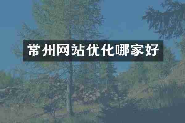 常州网站优化哪家好