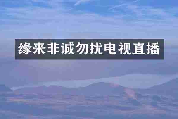 缘来非诚勿扰电视直播