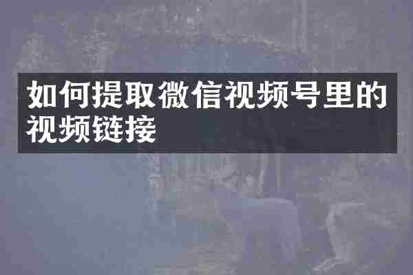 如何提取微信视频号里的视频链接