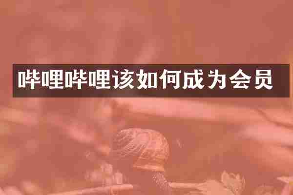 哔哩哔哩该如何成为会员