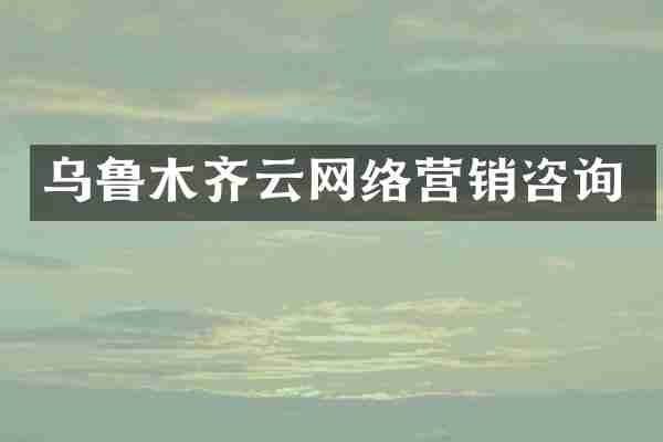 乌鲁木齐云网络营销咨询