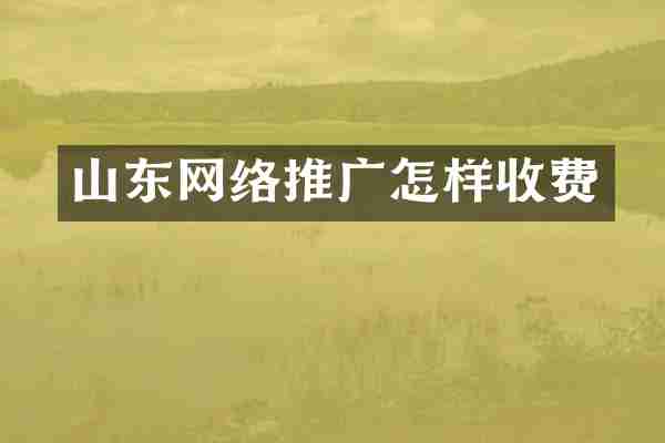 山东网络推广怎样收费