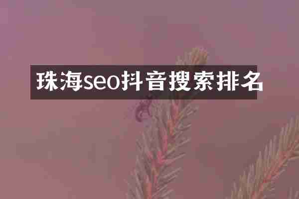 珠海seo抖音搜索排名
